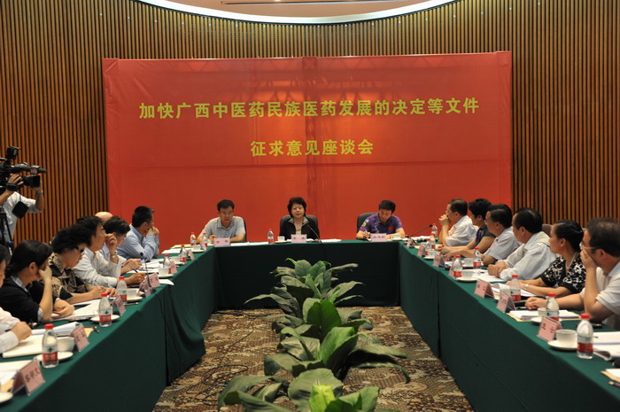 副主席主持召开加快广西中医药民族医药的决定等文件征求意见座谈会