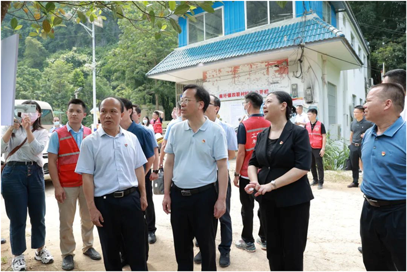 党建引领助力乡村振兴，四联村中草药种植产业见效成势