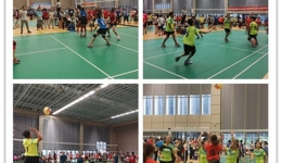 我院球队参加第十七届广西区直中直企事业单位职工气排球比赛喜获佳绩