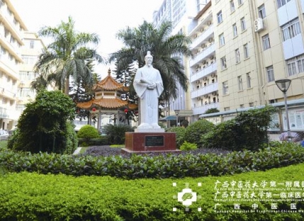 中医药文化浓郁的医院环境