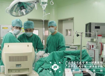 瑞士EMS超声气压弹道碎石清石系统