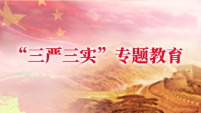 “三严三实”专题教育