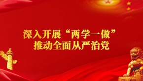 深入开展“两学一做”推动全面从严治党