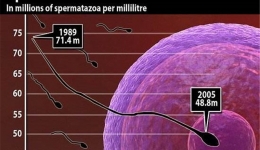 研究发现：中药验方强精煎可有效提高男性生育能力（Studies Found：Chinese Medicine Recipes-Qiangjing Decoction can Improve Male Fertility Effectively）
