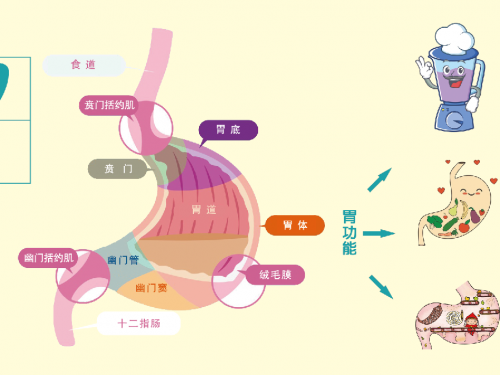 全国肿瘤防治宣传周 | 胃癌趋于年轻化，如何守“胃”健康——饮食“一多三少”，早诊早治是关键