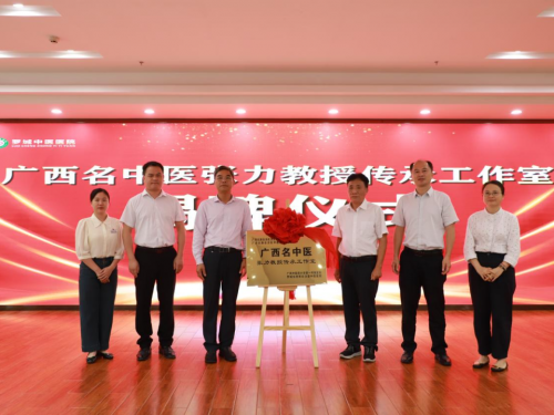 【广西“名中医八桂行”】张力名中医团队赴罗城仫佬族自治县中医医院活动纪实