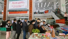 控制糖尿病，守护幸福感——医院内分泌科联合肾内科（肾病科）、心血管内科一病区（心病科一区）开展主题义诊活动